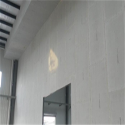 斗门新型建筑材料掺多种工业废渣的ALC|ACC|FPS模块板材轻质隔墙板